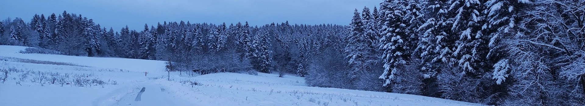 Śnieg w górach