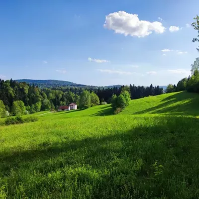 bieszczady-w-maju-5